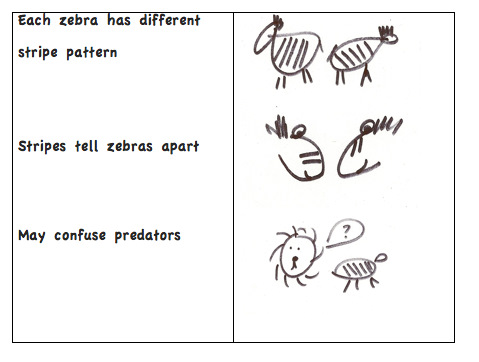 Take Note! {Note Taking in the Primary Classroom}